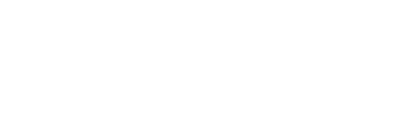 ARRIENDO DE MINICARGADORES